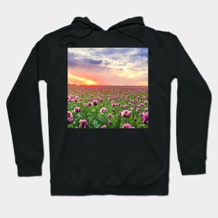 Sunset Fields of Purple Tulip Flowers Hoodie